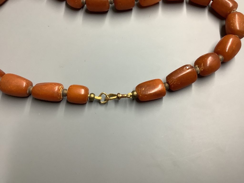 A single strand graduated barrel shaped amber bead necklace, 50 cm, gross weight 89 g.